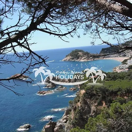 Villa Costa Brava Holidays Mimosa Sea View And Luxe